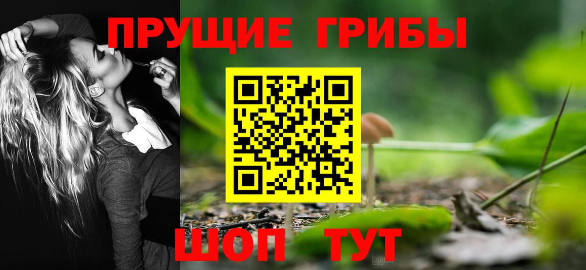 Псилоцибиновые грибы Cubensis  Псилоцибиновые грибы Cubensis  закладки  Курчатов  Вход с VPN 