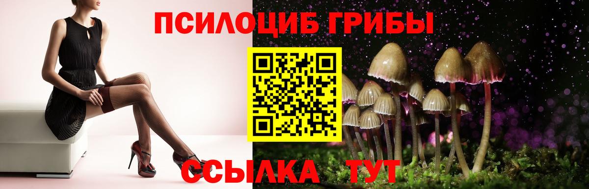 Галлюциногенные грибы мухоморы Курчатов